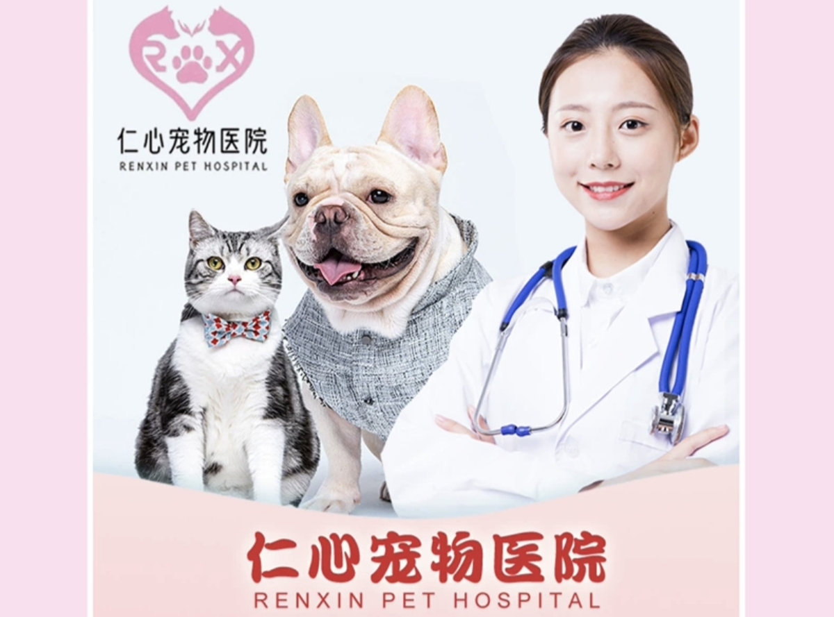 仁心苏州线上分站